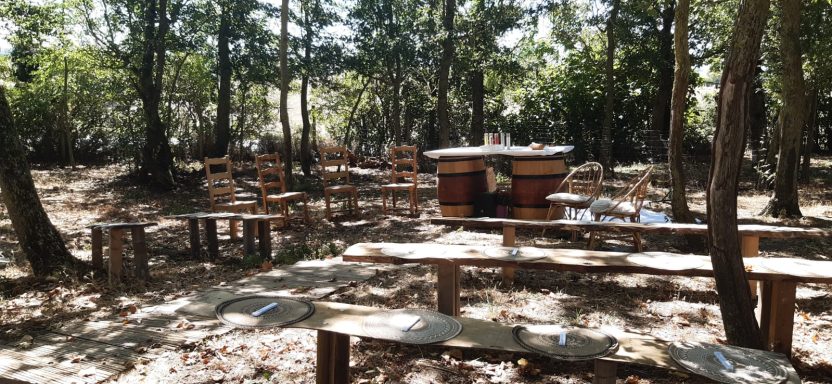Cérémonie en forêt