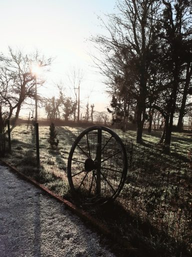 Roue de charrette 